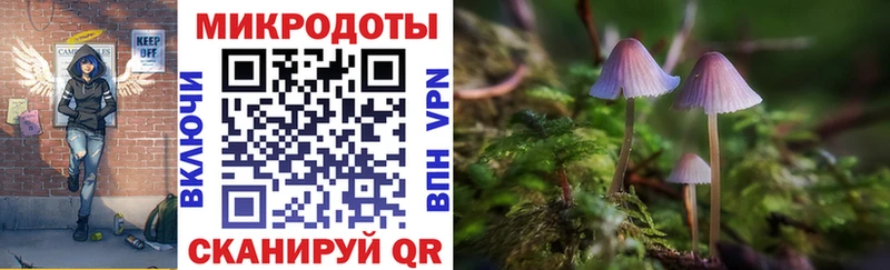 даркнет какой сайт  Игра  Псилоцибиновые грибы MAGIC MUSHROOMS 