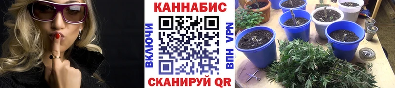 МАРИХУАНА ГИДРОПОН  OMG ССЫЛКА  Игра  продажа наркотиков 